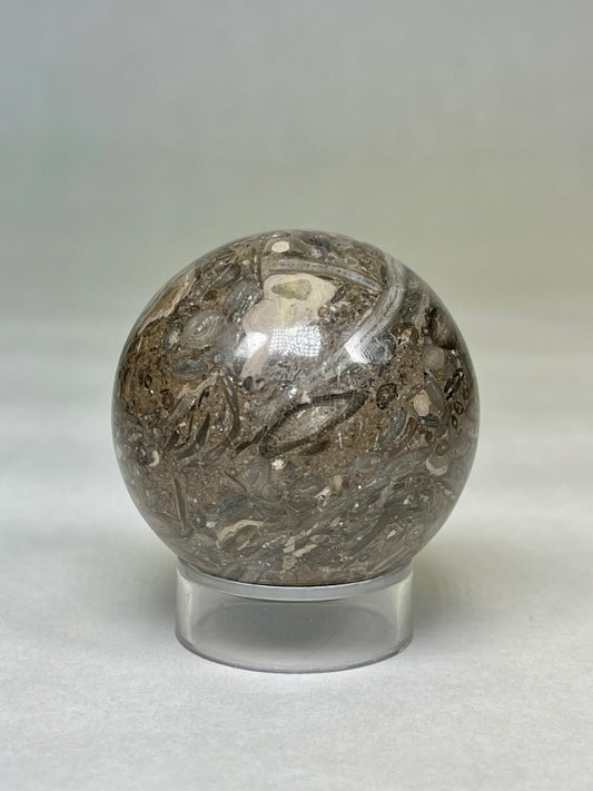 Fossilized Bamboo Sphere